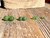 Natural Canadian Jade Round Stud Earrings 4mm 6mm or 10mm Sterling Silver
