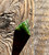 Natural Nephrite Jade Die - D4