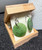 Natural Nephrite Jade Earrings 28mm Sterling Silver