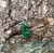 Natural Nephrite Jade Wolf Pendant, 30mm