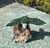 Natural Jade 4" Eagle on Petrified Wood Base Figurine