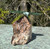 Natural Jade 4" Eagle on Petrified Wood Base Figurine