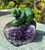 Natural Nephrite Jade Bear on Amethyst Base Figurine 4.5"