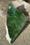 Natural Canadian Jade Rough. - 9lbs 4oz