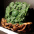 Natural Jade Double Dragon Carving 14"