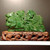 Natural Jade Double Dragon Carving 14"