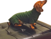 Dachshund Forest Green Heavy Fleece Bodysuit