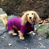 Dachshund Plum Sherpa Heavy Fleece Bodysuit