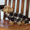 Dachshund Black/Cream/Red Indoor/Outdoor Bodysuit