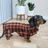 Dachshund Brown Indoor/Outdoor Bodysuit