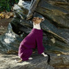 Italian Greyhound Plum Sherpa Fleece Bodysuit