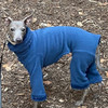 Italian Greyhound Mallard Hooded Fleece Bodysuit
