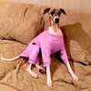 Whippet Rose Romper