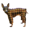 Italian Greyhound Brown Indoor/Outdoor Bodysuit