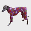 Italian Greyhound Plum Pines Indoor/Outdoor Bodysuit