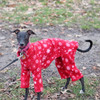Italian Greyhound Red Snowflakes Indoor/Outdoor Bodysuit Italian Greyhound Red Snowflakes Indoor/Outdoor Bodysuit