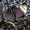 Italian Greyhound Forge Grey Indoor/Outdoor Bodysuit