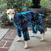 Whippet Turquoise Pixel Indoor/Outdoor Bodysuit