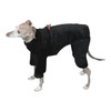 Italian Greyhound Rich Black Windblock Bodysuit
