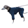 Italian Greyhound Twilight Windblock Bodysuit