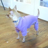 Toy & Teacup Lavender Romper