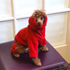 Toy & Teacup Red Fleece Hooded Bodysuit