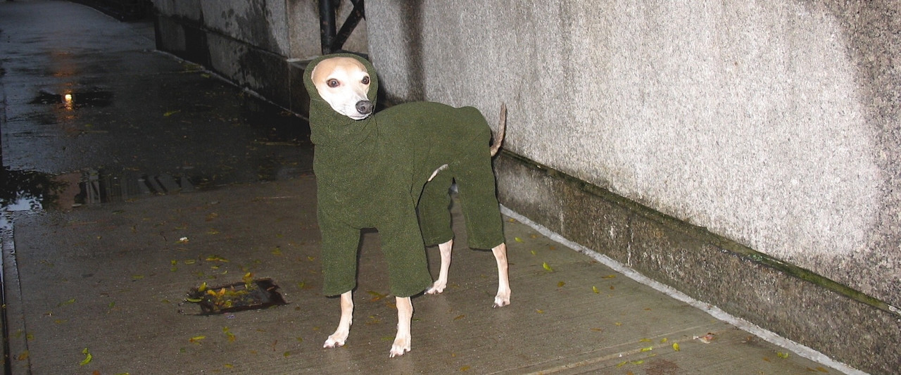 Heavy Fleece Hooded Bodysuits