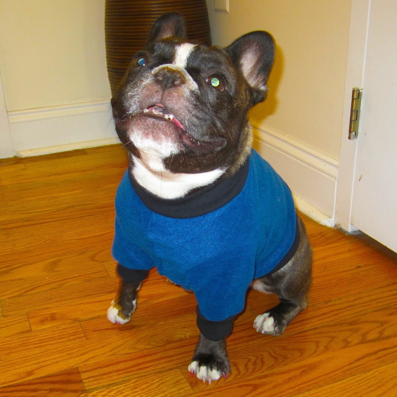 Pugs Boston Terriers & French Bulldogs Heavy Fleece Sweaters PM/PL Grey Tweed