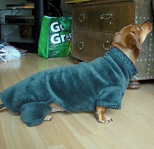 Dachshund Windblock Fleece Bodysuits