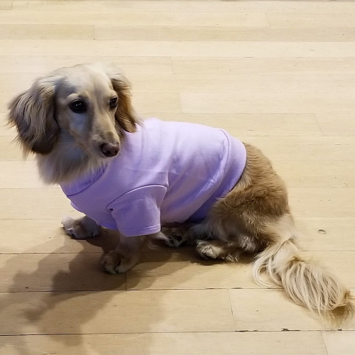 Dachshund Lavender Lightweight Shirt Dachshund Lavender Lightweight Shirt