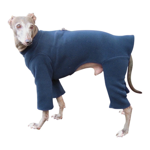 Italian Greyhound Slate Blue Bodysuit Italian Greyhound Slate Blue Bodysuit