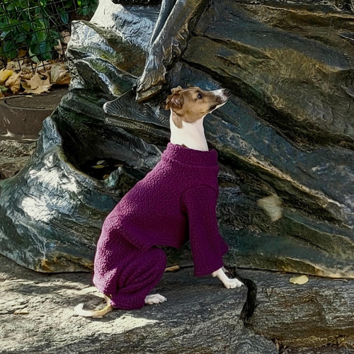 Italian Greyhound Plum Sherpa Fleece Bodysuit