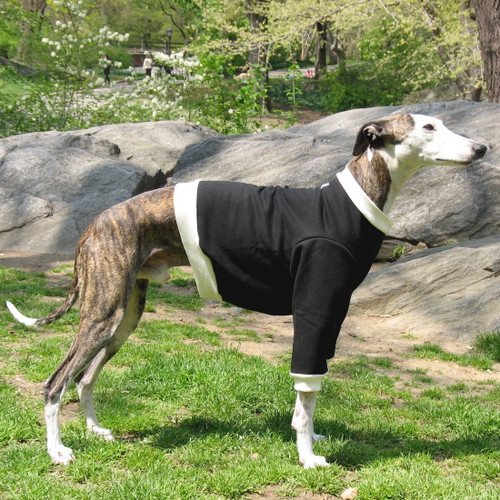 Whippet Black/Cream Heavyweight Sweatshirt Whippet Black/Cream Heavyweight Sweatshirt