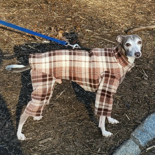 Italian Greyhound Latte Plaid Indoor/Outdoor Bodysuit