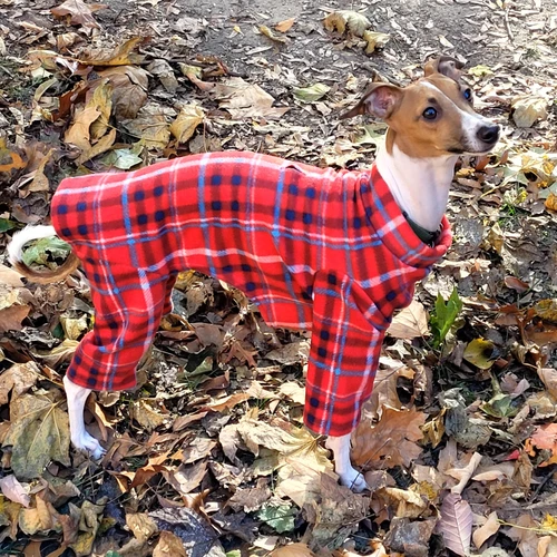 Italian Greyhound Red Plaid Indoor/Outdoor Bodysuit