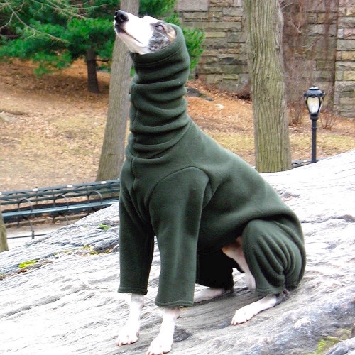 Whippet Dark Forest Heavy Fleece Hooded Bodysuit