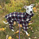 Whippet Black/Cream/Red Plaid Indoor/Outdoor Bodysuit