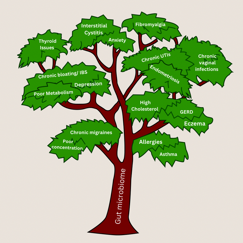The Tree Trunk and the Branches Of Chronic Illnesses
