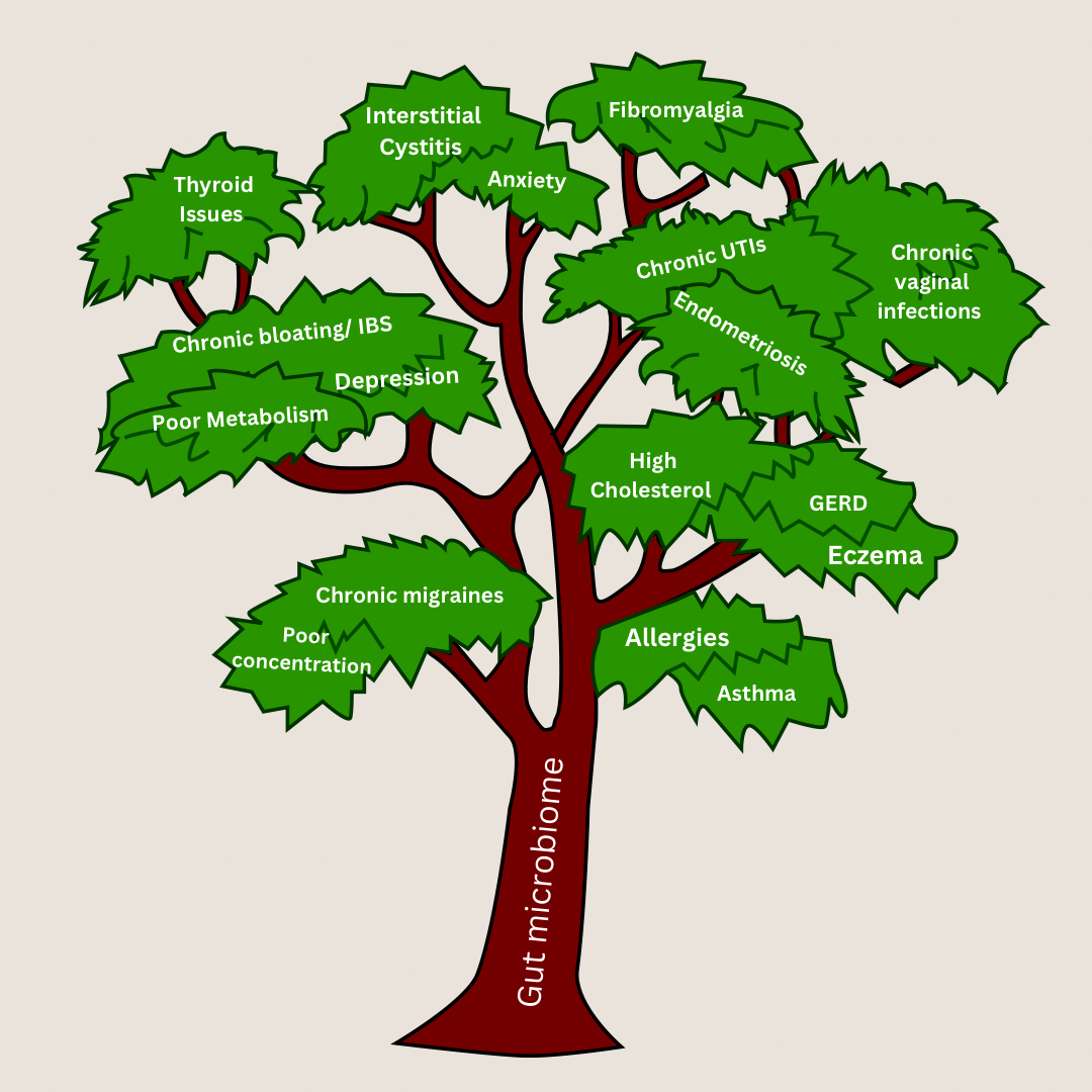 Public Health Tree Model The Tree Trunk and the Branches Of Chronic Illnesses - BOMASENSE Skincare