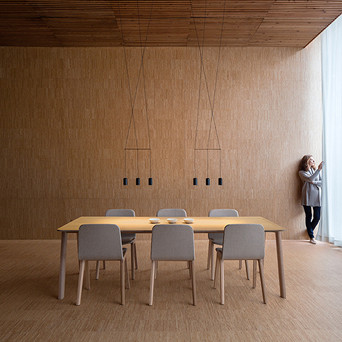 Vibia Wireflow Lineal 0325 Pendant Light