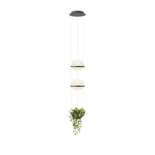 Vibia Palma 3728 Pendant Light