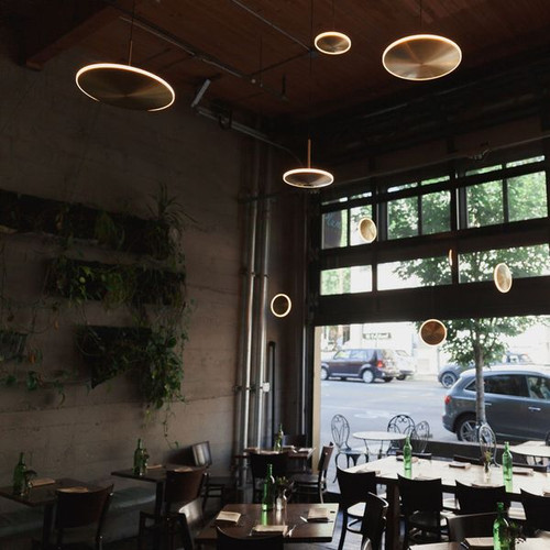 Graypants Chrona Dish Pendant Light