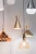Euri Lighting EA21-5023cec E-Lite LED CA Compliant 100-Watt Equivalent A19 Lamp E26 Base Dimmable - Case of 12
