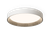 Vibia Duo Petra 4873 Ceiling Light