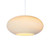 Graypants Scraplights Disc Pendant Light