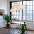 Graypants Scraplights Moon Pendant Light