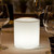 Smart and Green Lantern Table Lamp