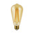 Euri Lighting VST19-3020ea Omni-directional Filament LED Light Bulb Dimmable Amber Glass