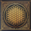 Bring Me The Horizon ‎– Sempiternal
Label:
Sony Music ‎– 19075995601, RCA ‎– 19075995601
Format:
Vinyl, LP, Album, Reissue
Country:
Europe
Released:
22 Nov 2019
Genre:
Rock
Style:
Metalcore
Sempiternal (Vinyl, LP, Album, Reissue) for sale
Tracklist
Position	Title/Credits	Duration
A1	Can You Feel My Heart	3:47
A2	The House Of Wolves	3:25
A3	Empire (Let Them Sing)	3:45
A4	Sleepwalking	3:50
A5	Go To Hell, For Heaven's Sake	4:02
A6	Shadow Moses	4:03
B1	And The Snakes Start To Sing	5:01
B2	Seen It All Before	4:07
B3	Antivist	3:13
B4	Crooked Young	3:34
B5	Hospital For Souls	6:44