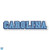 Carolina Block Text Magnet